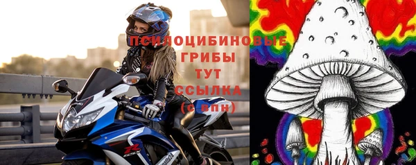ALPHA PVP Покровск
