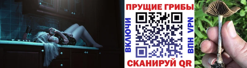 даркнет сайт  Тутаев  Псилоцибиновые грибы Psilocybine cubensis 