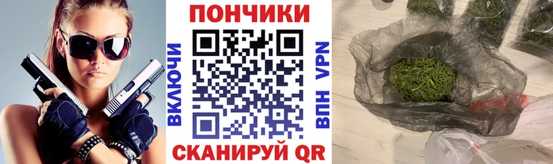 Бошки марихуана сатива  Тутаев 